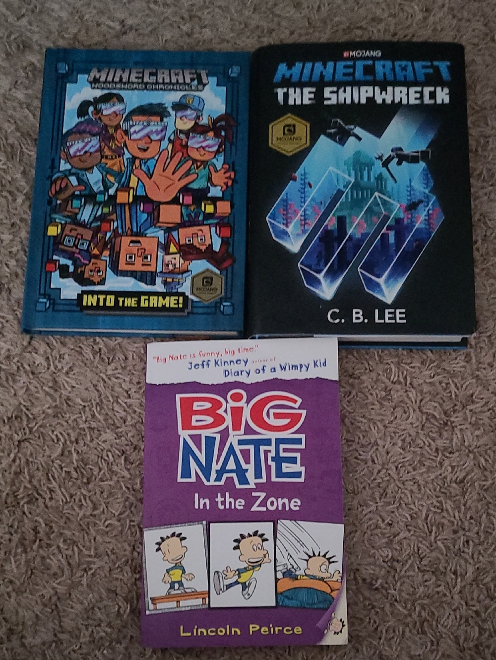 Minecraft The Shipwreck, Mincraft Into The Games And Big Nate In The Zone Books